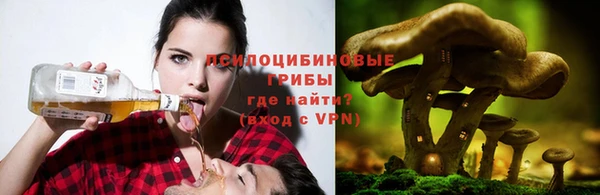 сатива Хадыженск